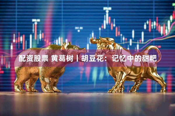 配资股票 黄葛树丨胡豆花：记忆中的甜粑