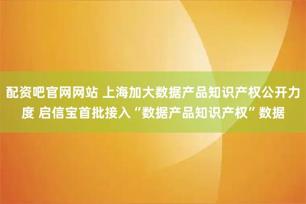 配资吧官网网站 上海加大数据产品知识产权公开力度 启信宝首批接入“数据产品知识产权”数据