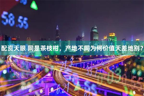 配资天眼 同是茶枝柑，产地不同为何价值天差地别？